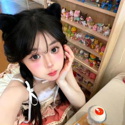 家鸭与野鸭的投币式置物柜